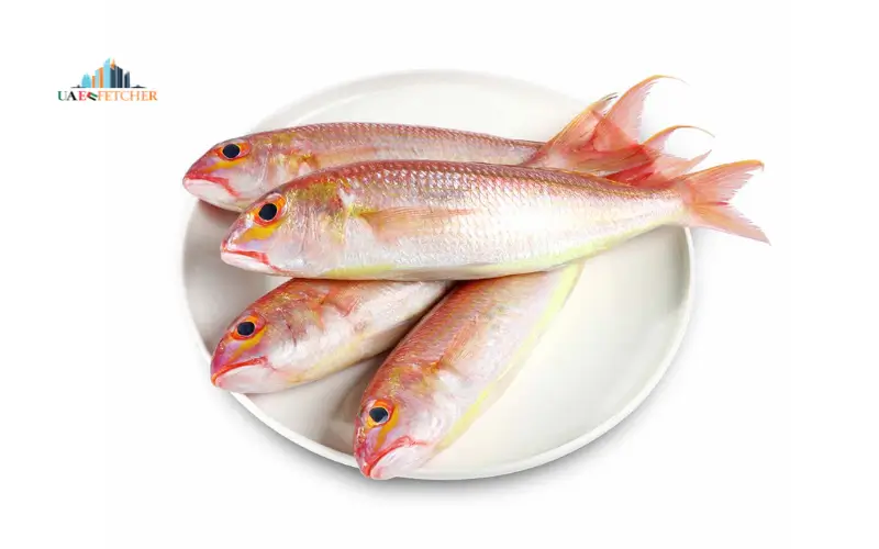 Sultan Ibrahim Fish