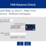 FAB Balance Check