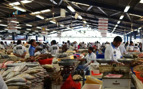 Al Karama Fish Market