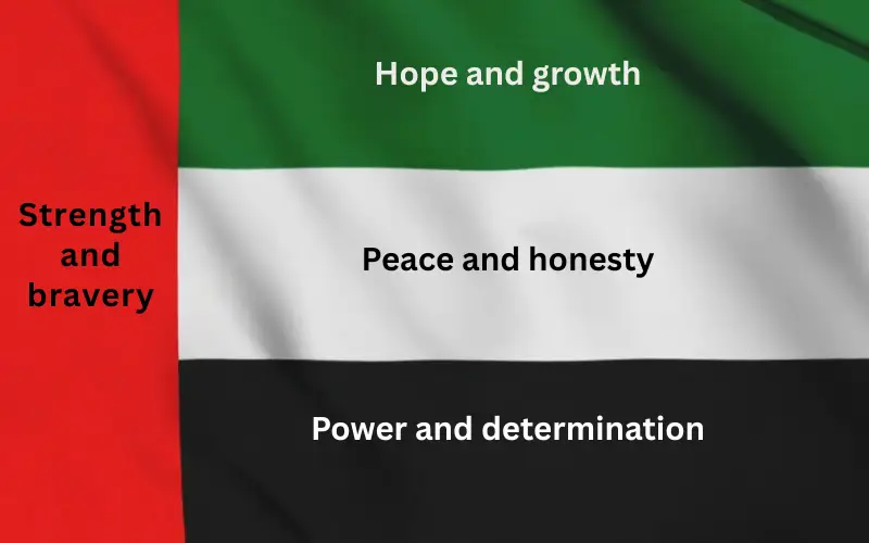 UAE Flag
