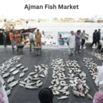 Ajman Fish Market