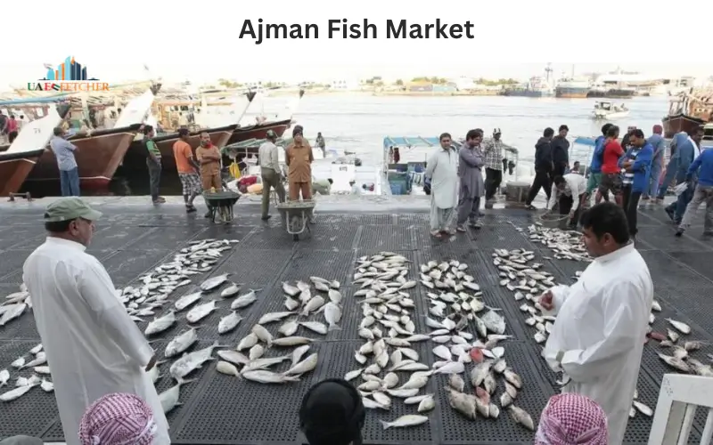 Ajman Fish Market