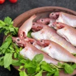 Sultan Ibrahim Fish