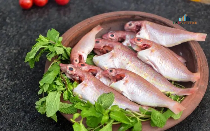 Sultan Ibrahim Fish