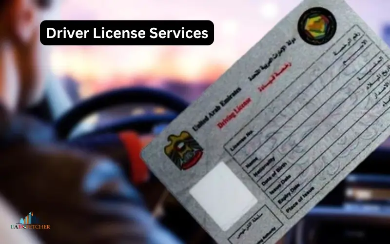 Driver License Services