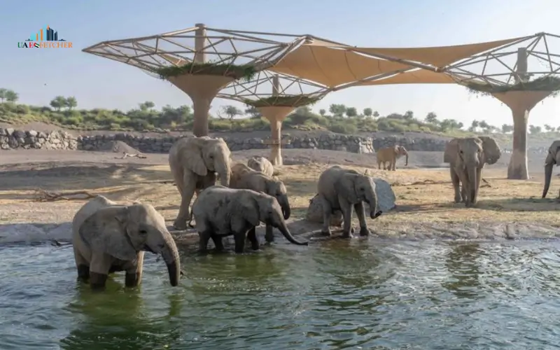 Elephant Valley