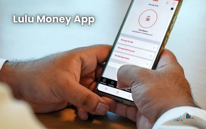 Lulu Money App