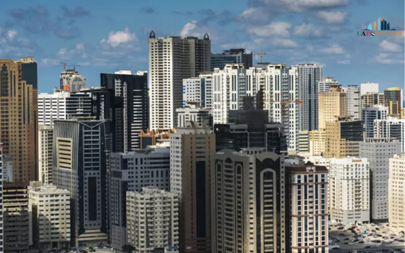 Property and Real Estate