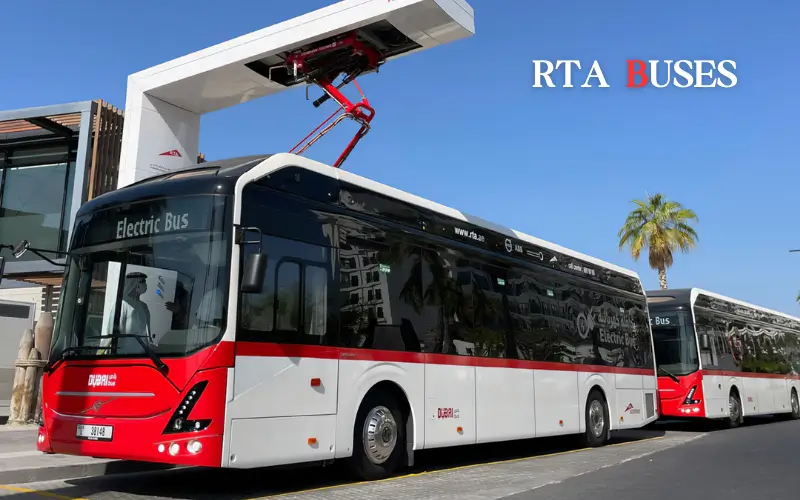 RTA buses