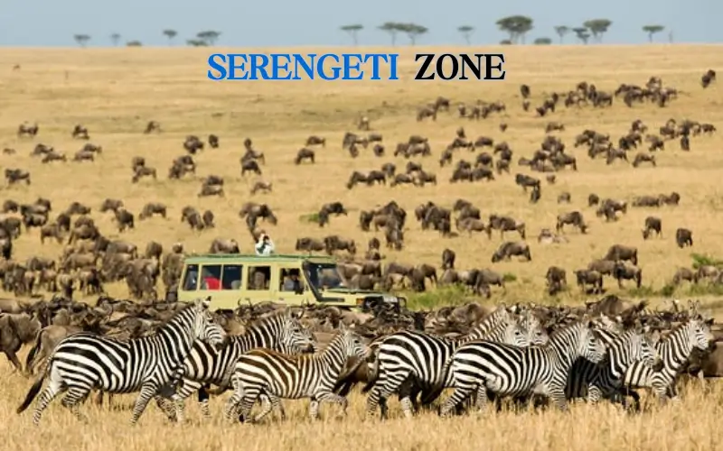 Serengeti Zone