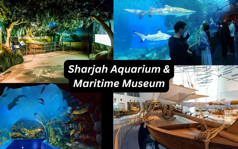 Sharjah Aquarium and Maritime Museum
