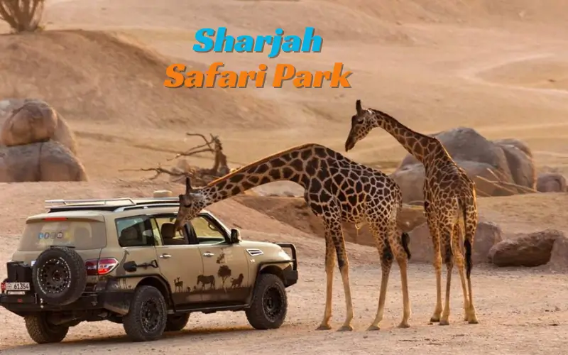 Sharjah Safari Park