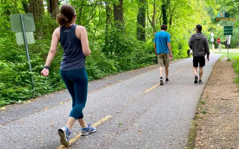 Jogging and Walking Tracks