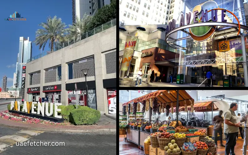 Bay Avenue best place