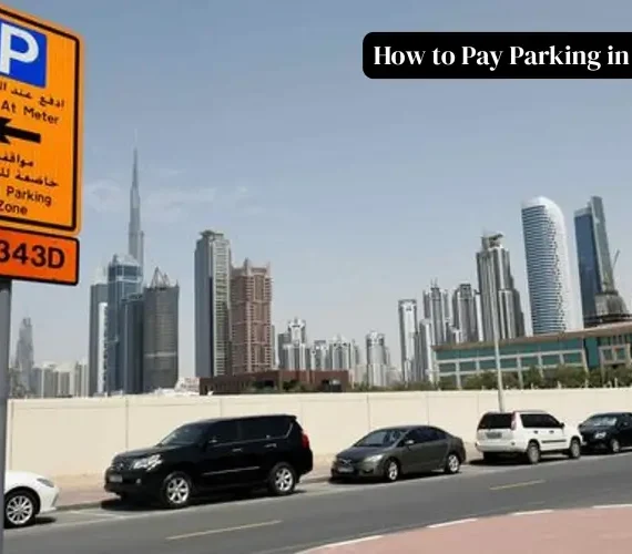 How to Pay Parking in Dubai