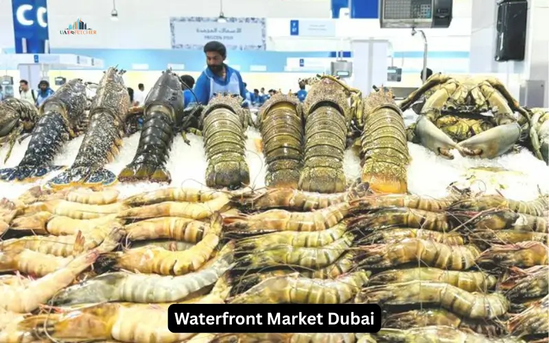 Waterfront Market Dubai