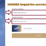 MOHRE Inquiries