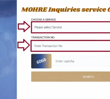 MOHRE Inquiries