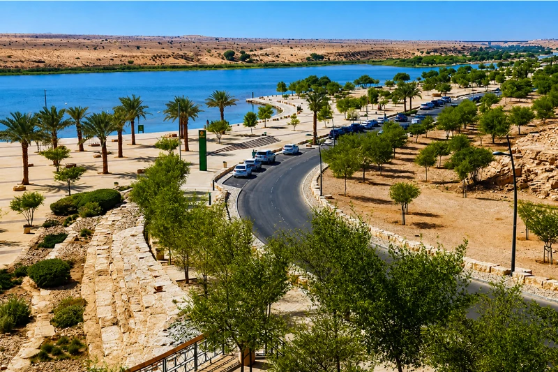 Day view of Lake Park Riyadh with blue lake, palm trees, and curved road
