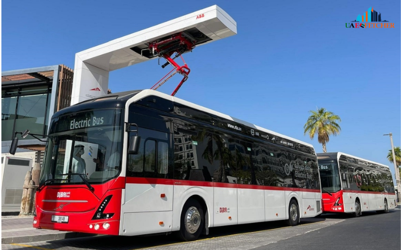 Bus, Taxi and Other Transport Options